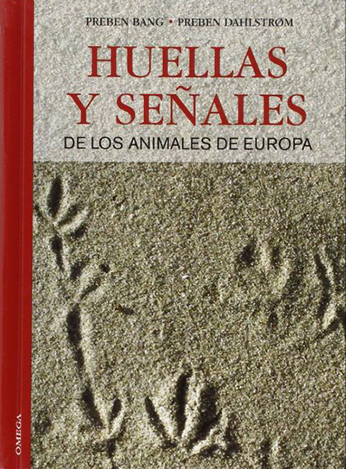 Texto alternativo