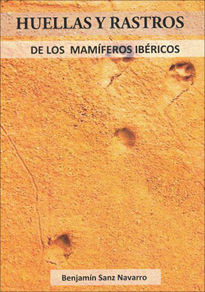 Texto alternativo