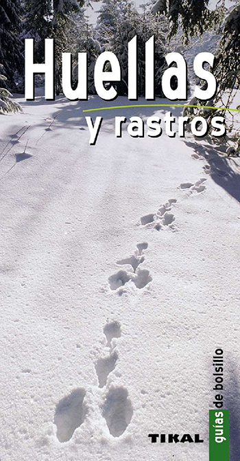 Texto alternativo
