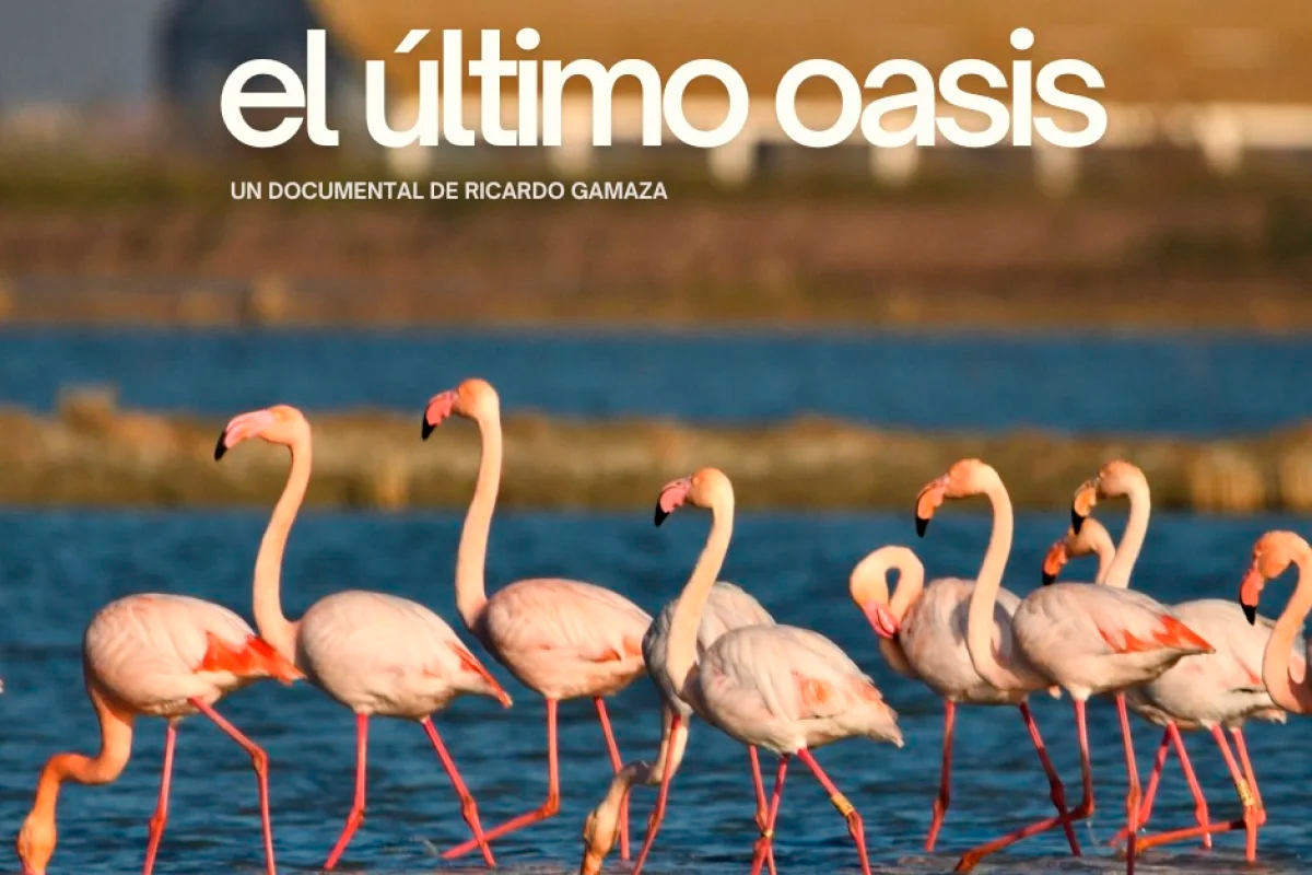 “El último oasis”, documental de Ícara apoyado por el LEADER del GDR Aljarafe-Doñana